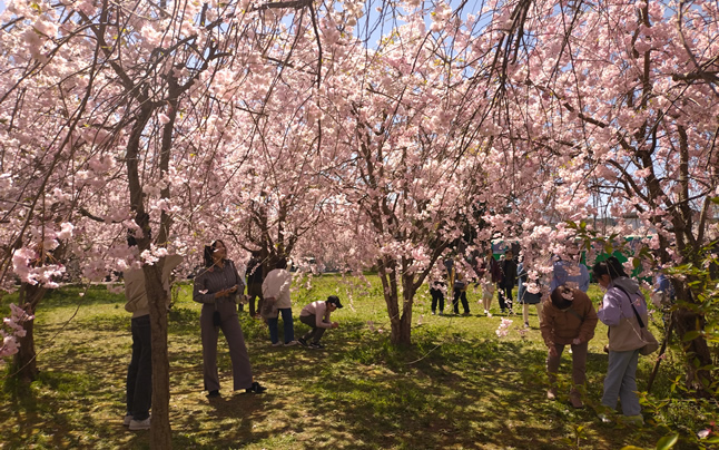 �����������Ȃ���