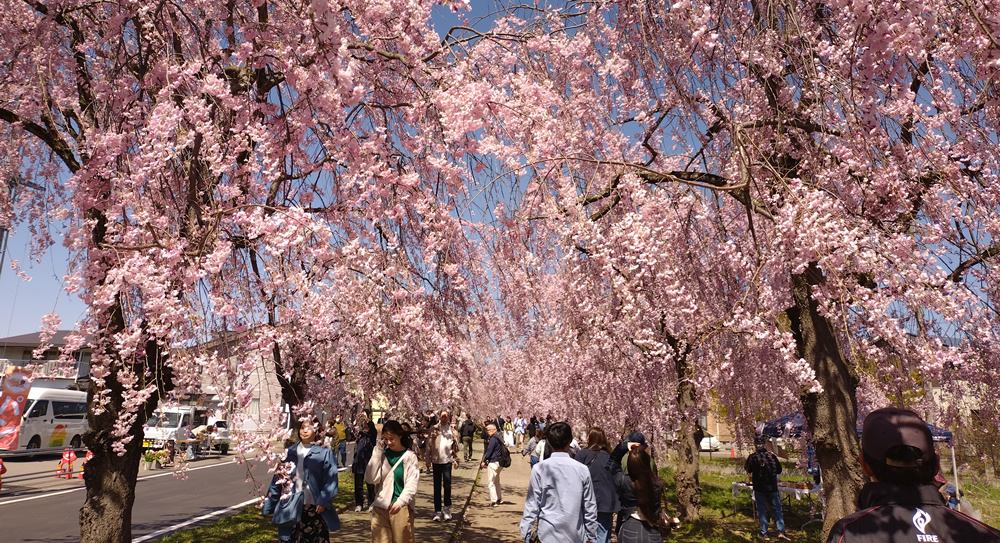 ����������������C���̏ꏊ