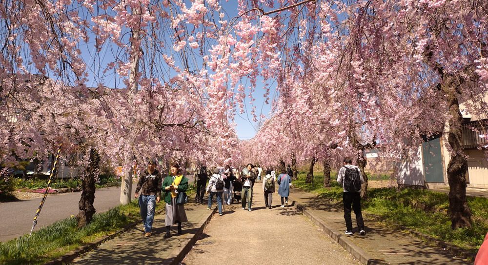 ��������̃g���l��