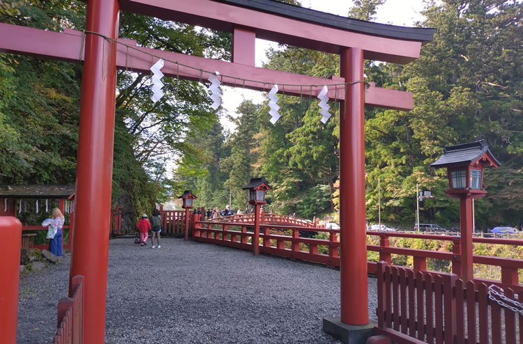 �_���i���񂫂傤�j