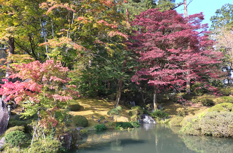 �։����@�뉀