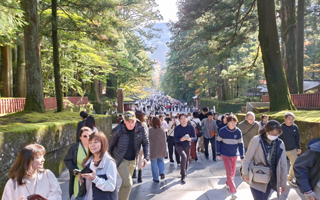 �吨�̊ό��q