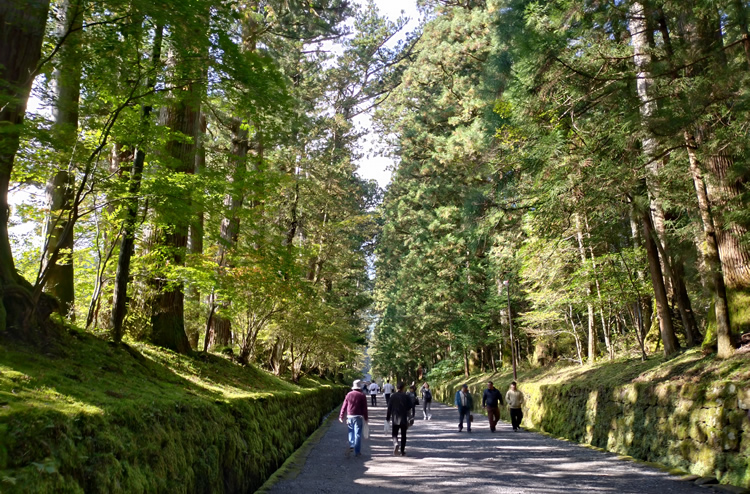 ��r�R�_�� �Q��