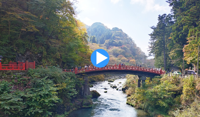 �_������̒���