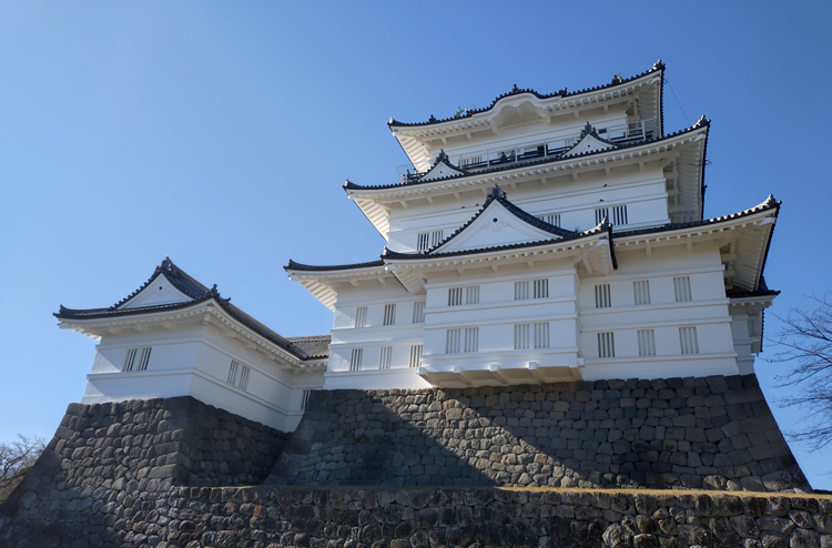 ���c����