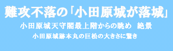 ���c����