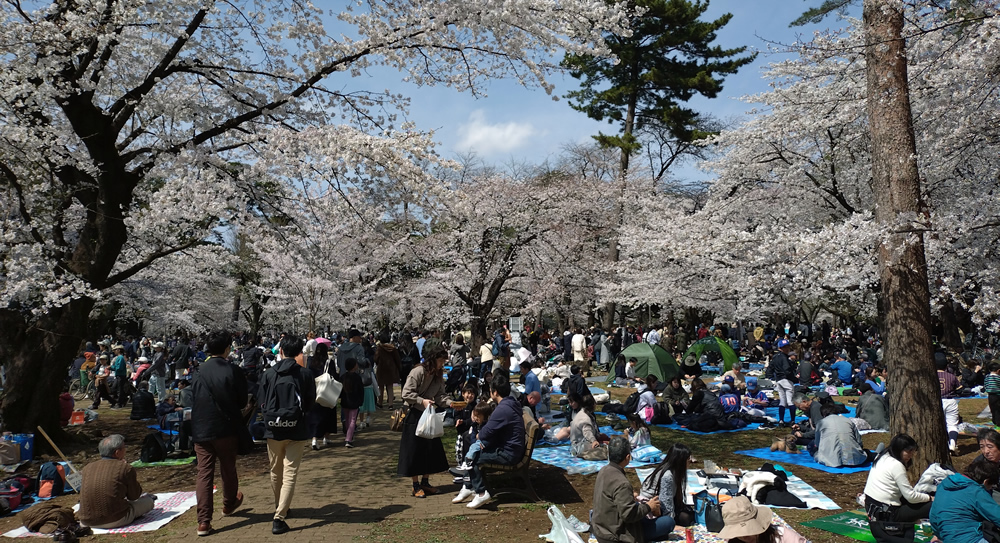 ��{�����@������100�I