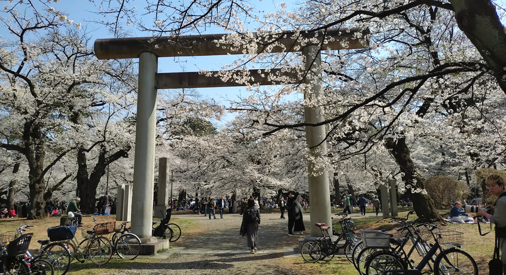 �������猩�����i