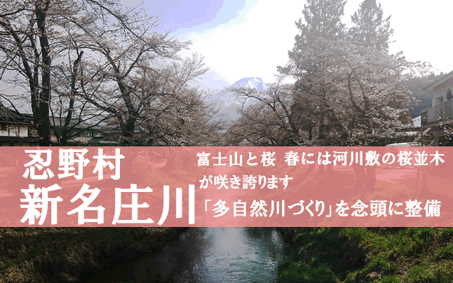 �V������ ��