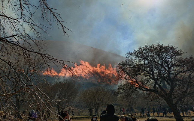 �����������R�Ă�