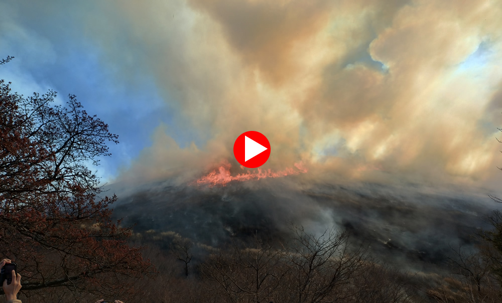 �厺�R�R�Ă�����