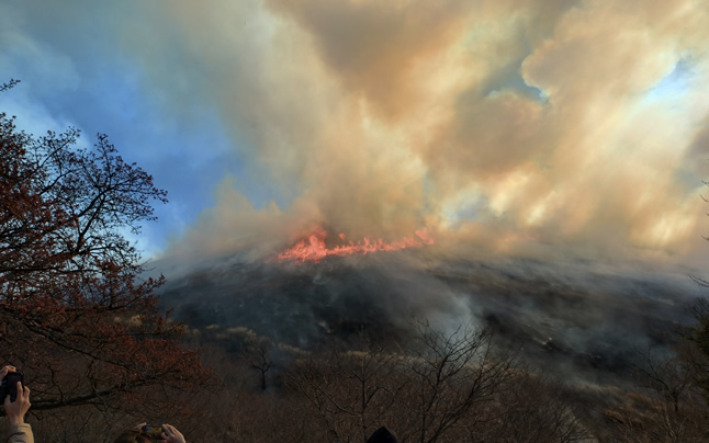 �R���t�ߎR�Ă�