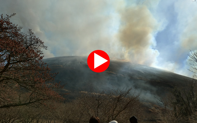 �厺�R�R�Ă�����