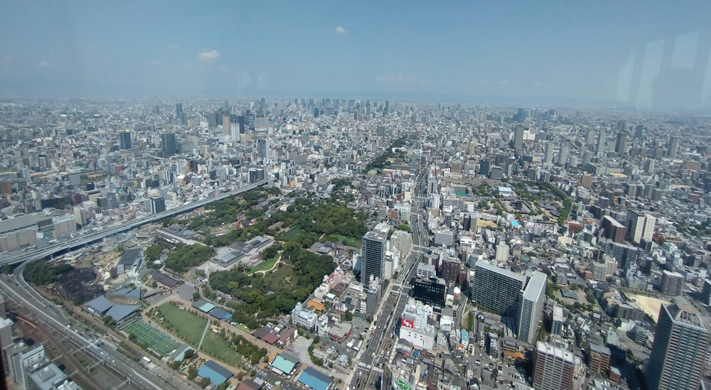 �k���̌i�F