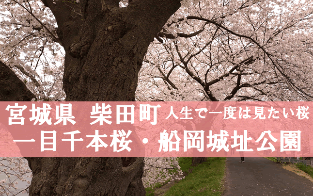 ��ڐ�{���@�D���隬����