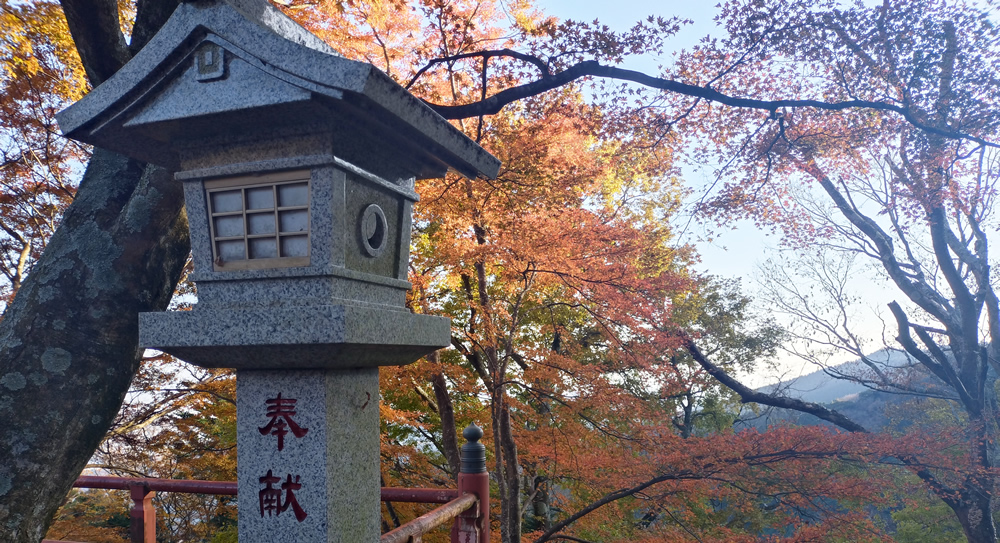 ���v���_�Љw�߂��̍g�t