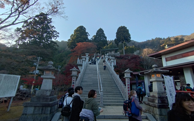 ���v���_�� �ΊK�i