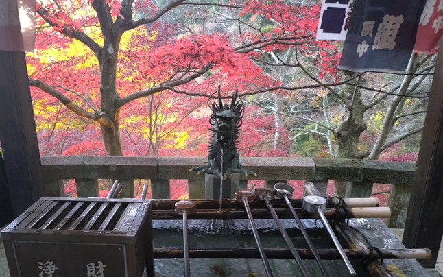 �S�؍זE�V�[�g