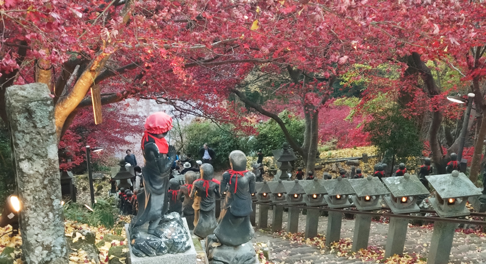 ��R���̉��K�i�g�t