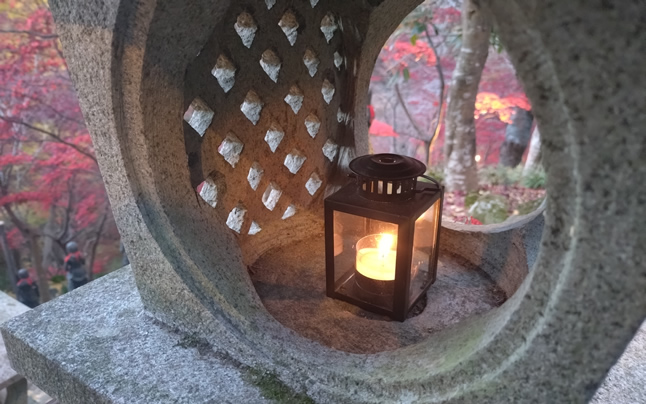 �~���C�l�Ԑ���@