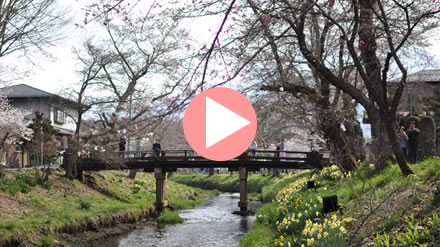 �t�̐V������@���ƕx�m�R