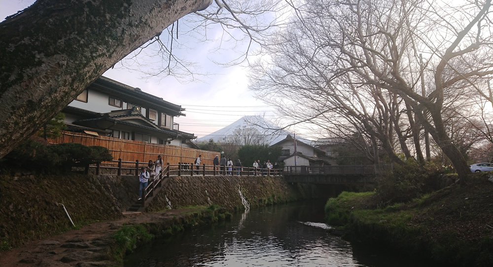 �V�����삩��̕x�m�R