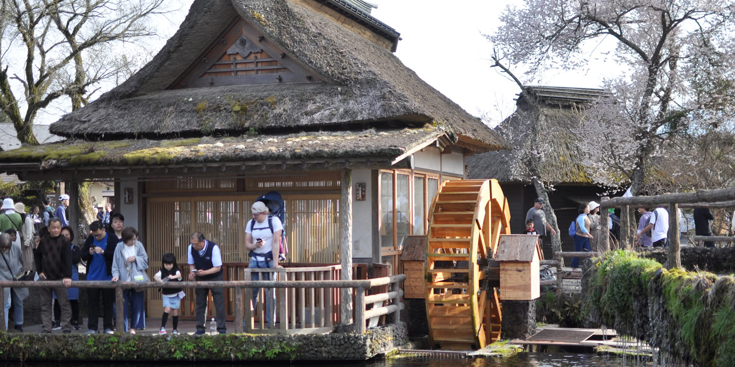 �E�씪�C�@����