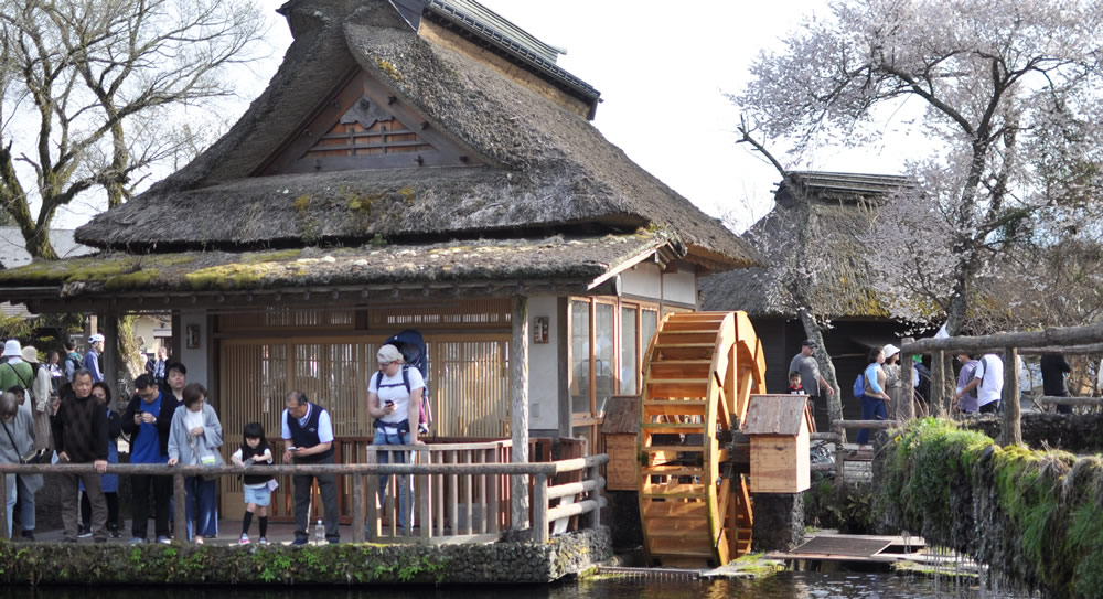 ���r �������������@����