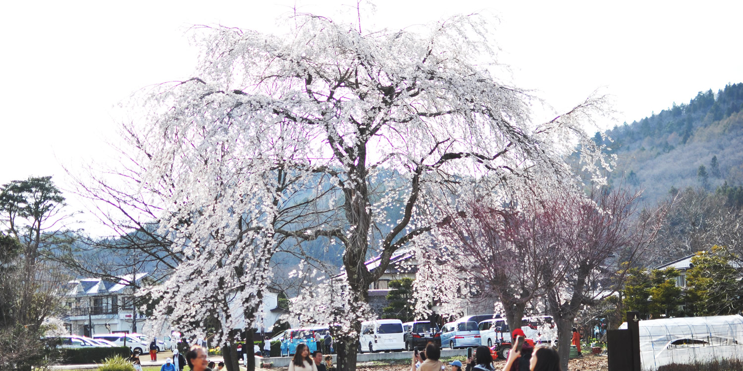 �Ҋ��r�@�������