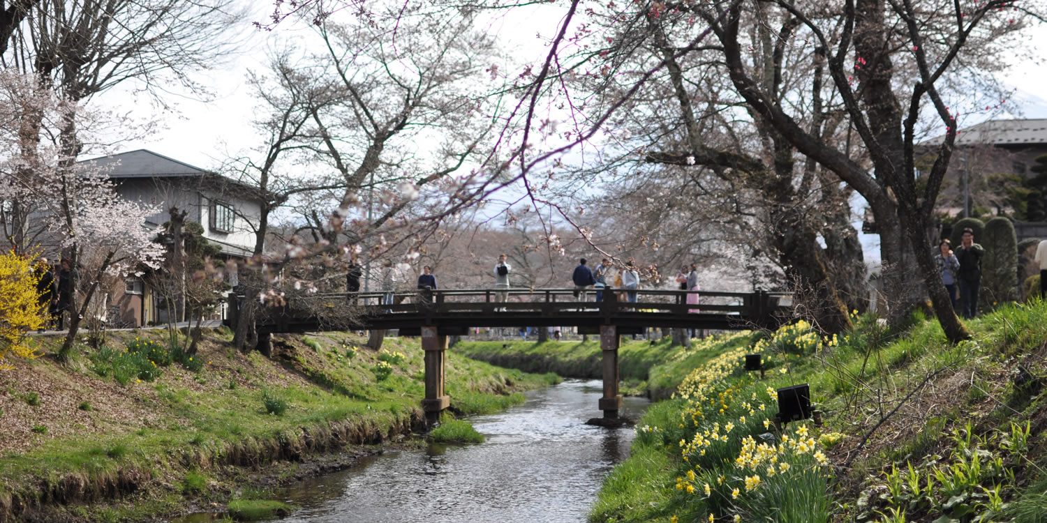 �V������ ���@�x�m�R