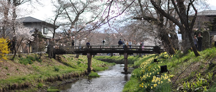 �V������ ���@�x�m�R