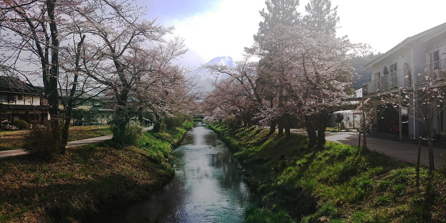 �V������ ���@�x�m�R