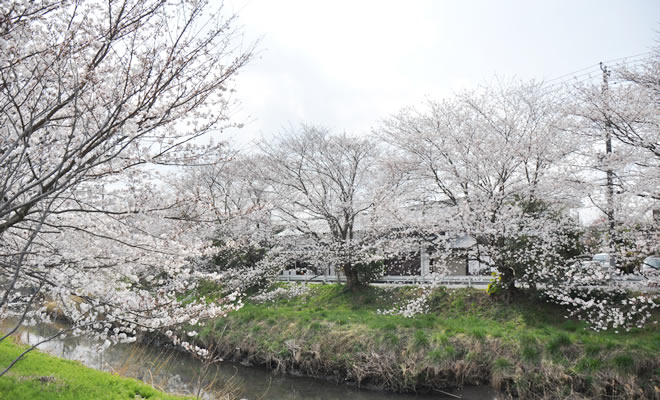 2013�N��ߐ��