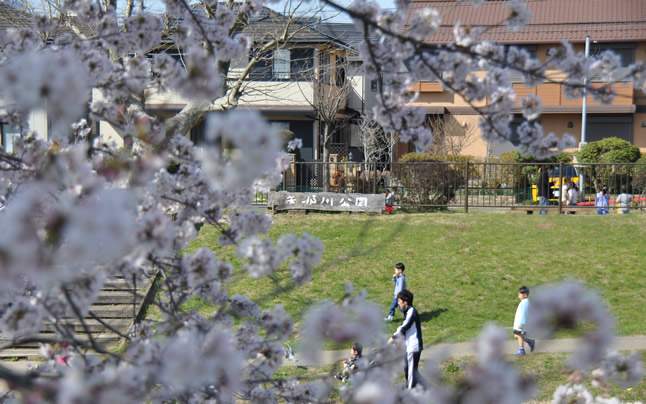 2015�N��ߐ����