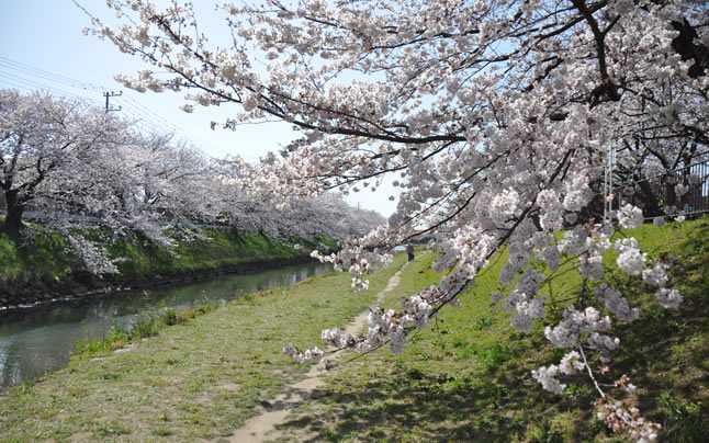 ��ߐ�������ꉺ�����