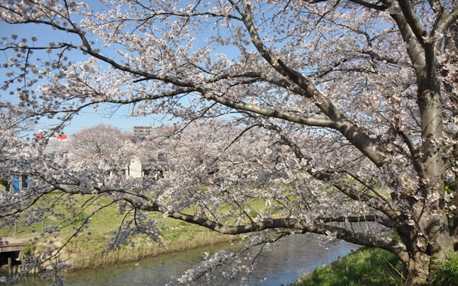 2015�N��ߐ�������Ӎ�