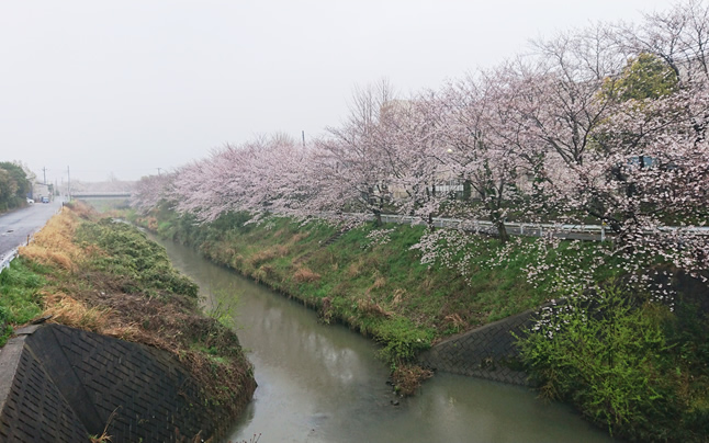 �������w�Z�O��