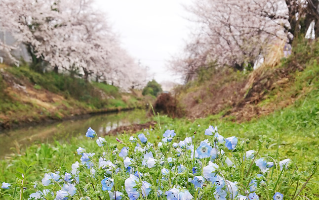 ���c3���ځ@�l���t�B���ƍ�