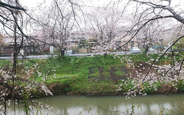 ���c�R�R���@��