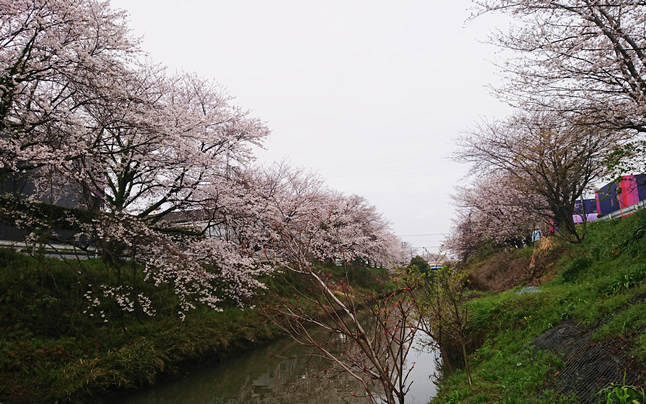 ���c3���ځ@�l���t�B���ƍ�