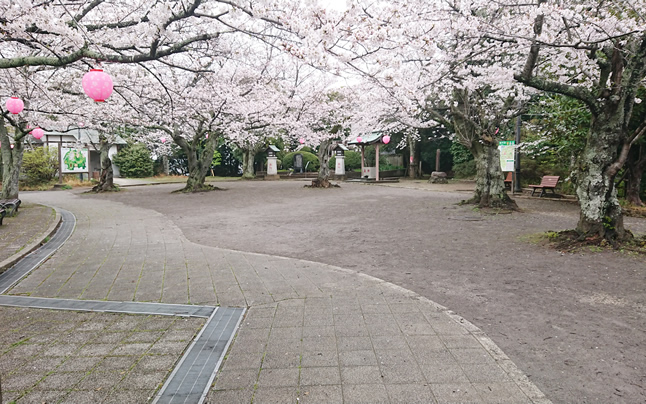 ���c�R�R���@��