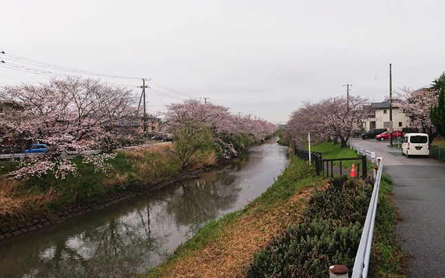 ���a������̖�ߐ����