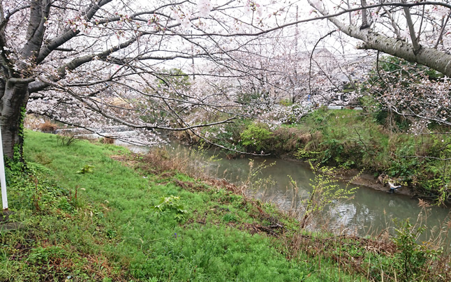 ��a���ӂ̍�