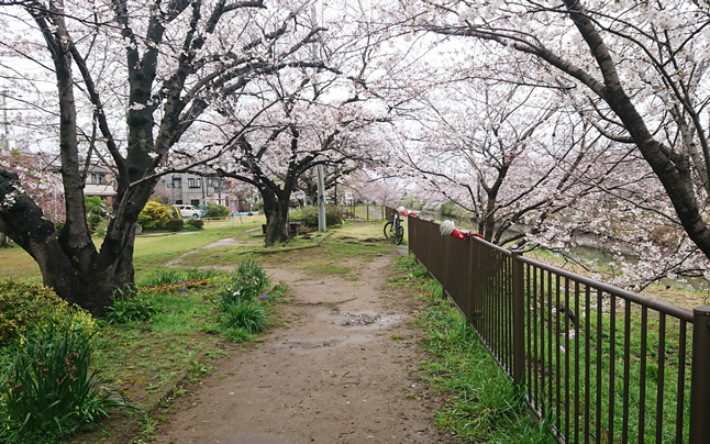 ��ߐ����