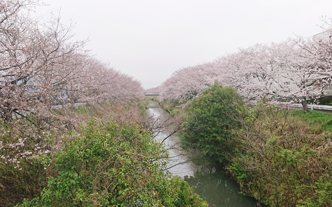 ��ߐ싴����̍�