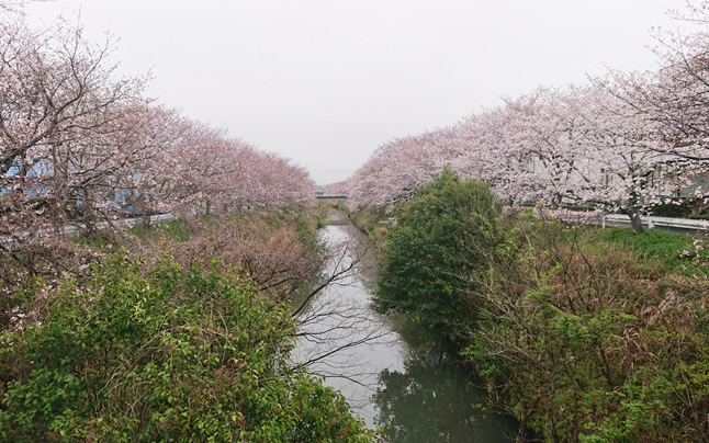 ��ߐ싴����̍�