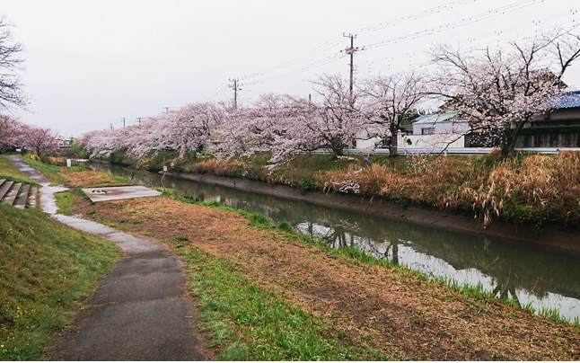 ��ߐ��������̍�