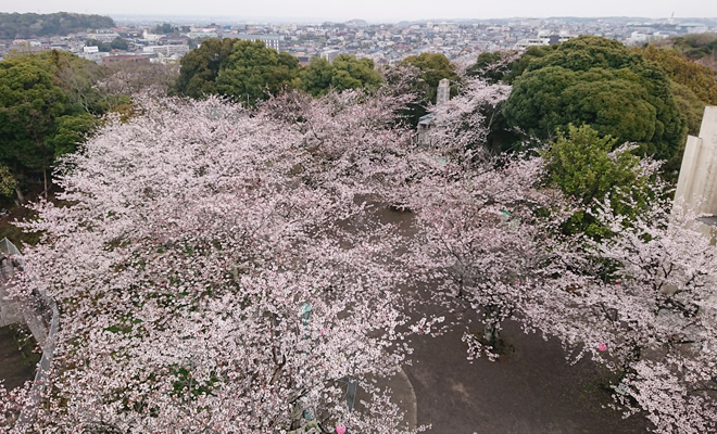 2024�N��ߐ��