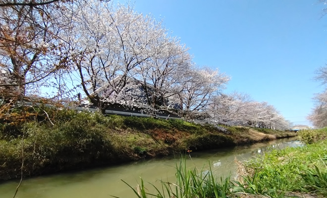 2024�N��ߐ��