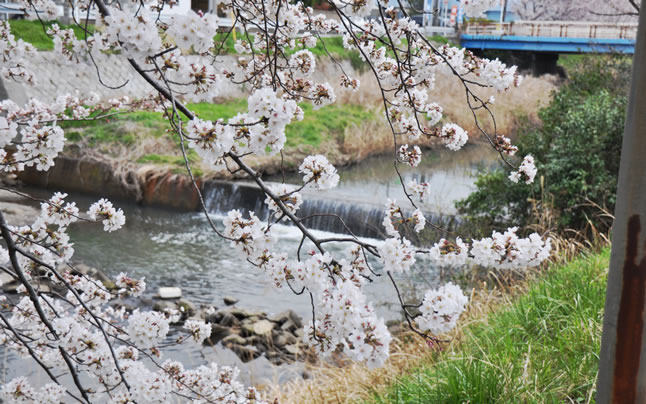 ���@��ߐ�ő傫�ȍ�